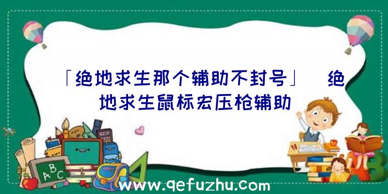 「绝地求生那个辅助不封号」|绝地求生鼠标宏压枪辅助